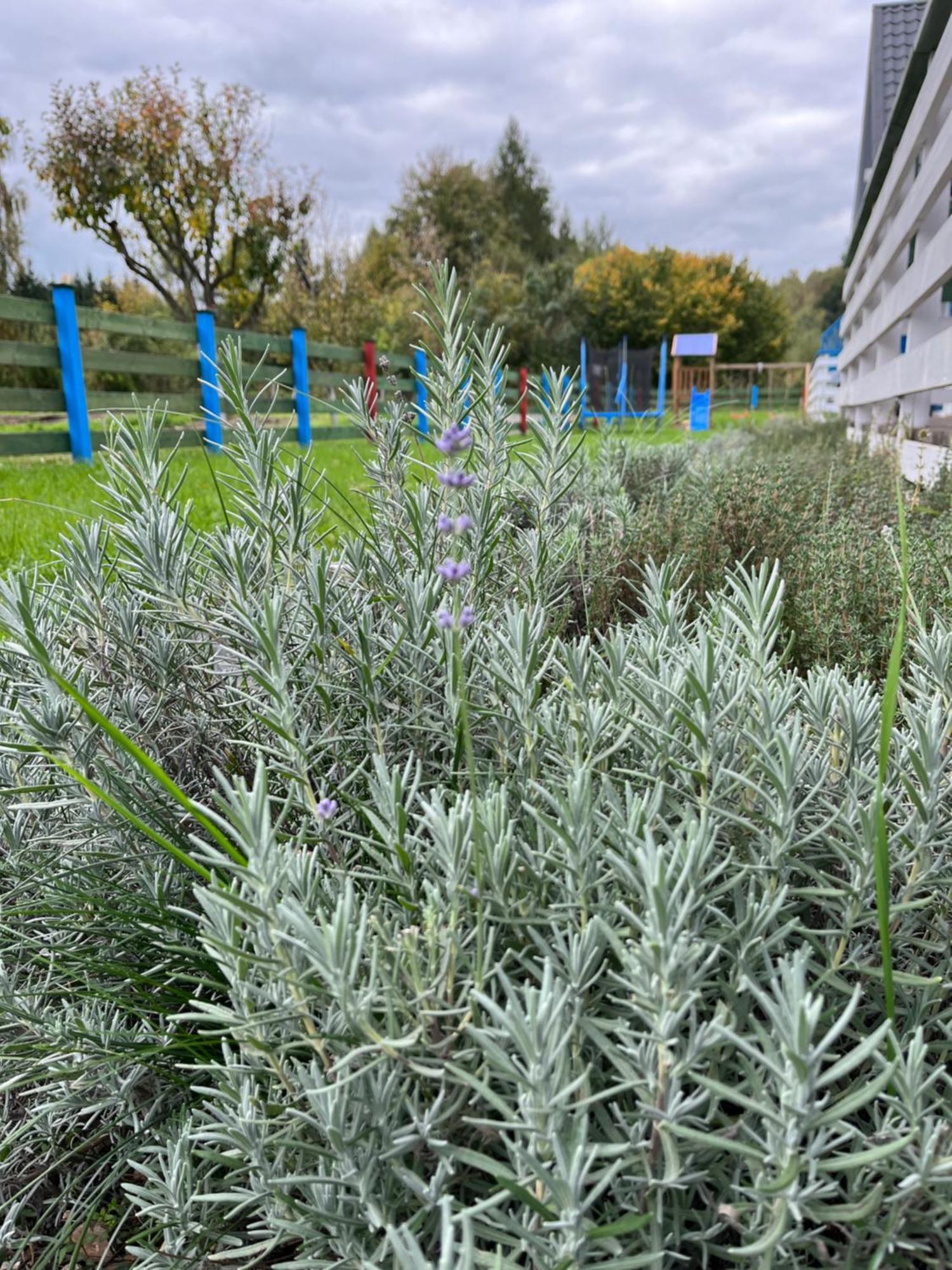 Domki W Dolinie Bobru Siedlecin Exteriör bild